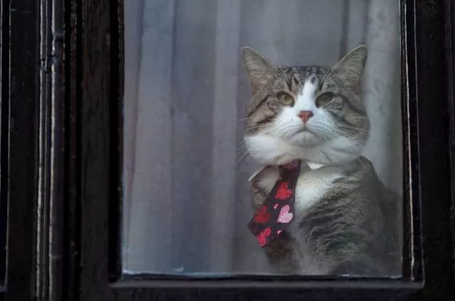 Picdump 260 - #43 