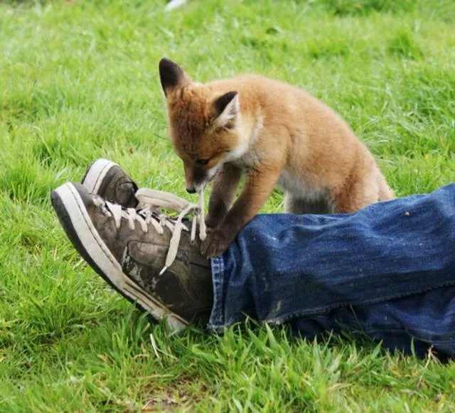 Picdump 260 - #46 
