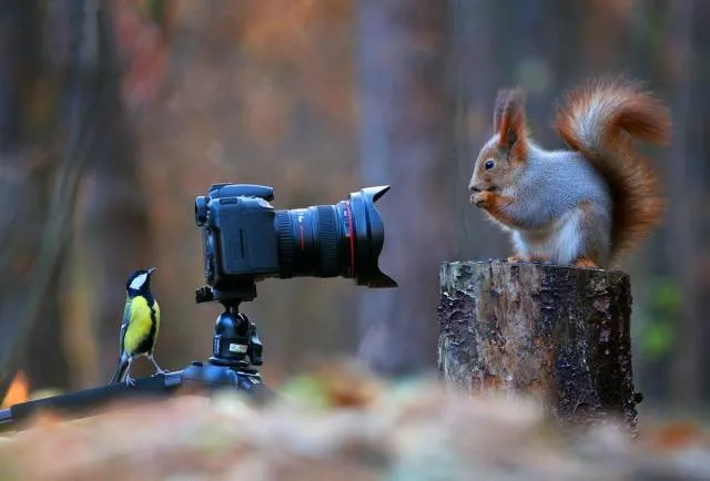 Picdump 260 - #53 