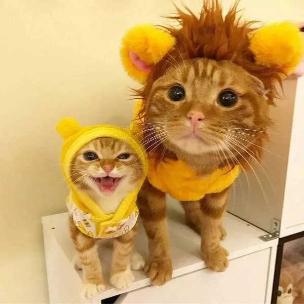 Picdump 260 - #60 