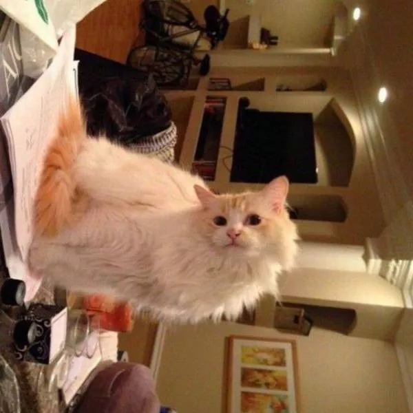 Picdump 260 - #73 
