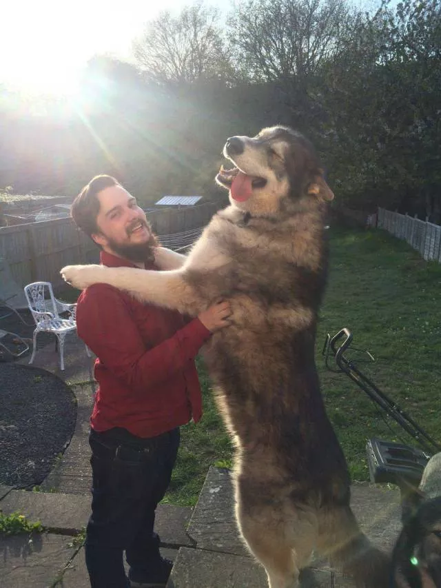 Picdump 260 - #81 