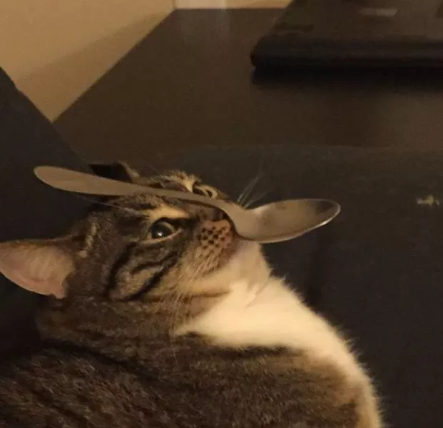 Picdump 260 - #84 