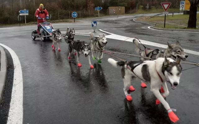Picdump 260 - #86 