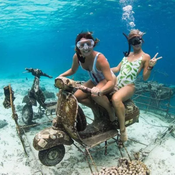 Picdump 261