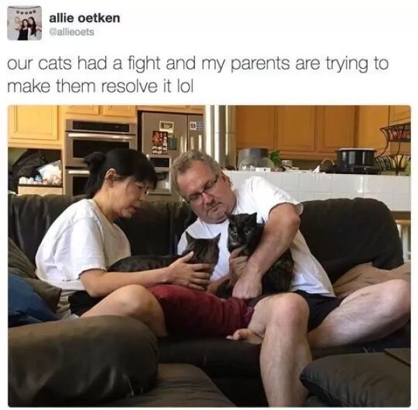 Funny memes - #13 