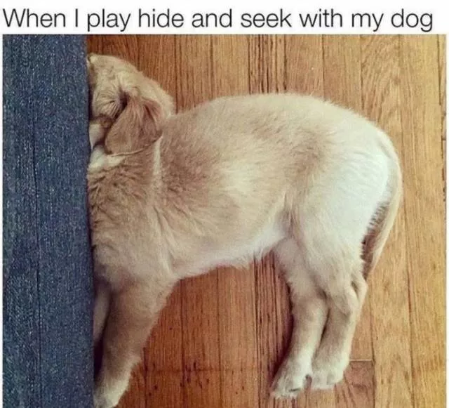 Funny memes - #23 