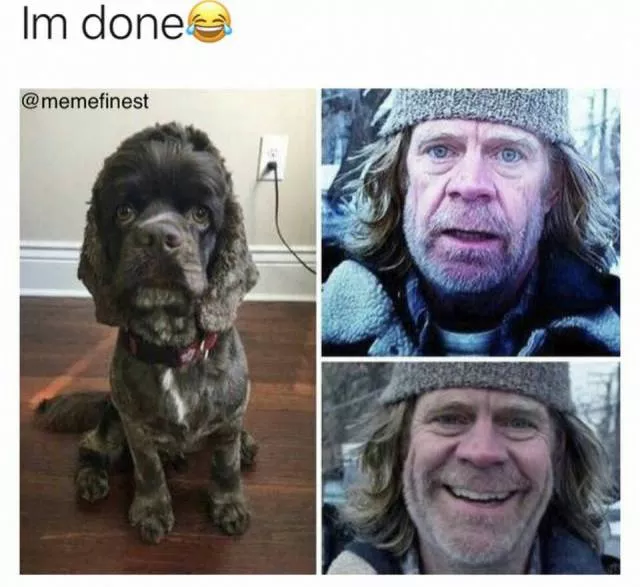 Funny memes - #50 