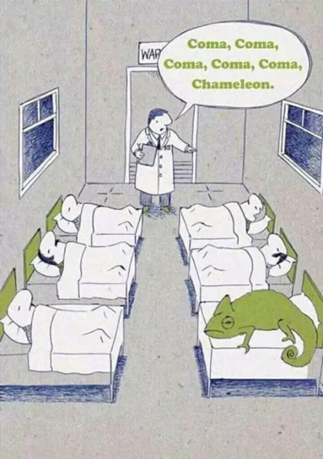 Picdump 262 - #30 