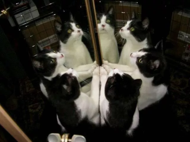Picdump 263 - #24 