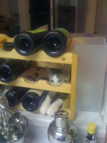 Picdump 263 - #27 