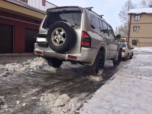 Picdump 264 - #50 