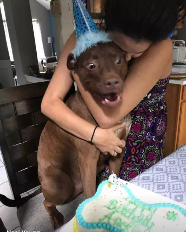 Animals caught in moments of intense emotion - #2 