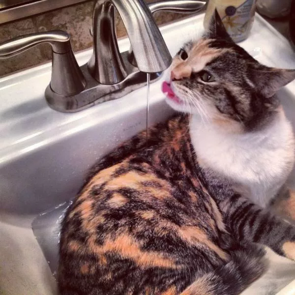 Picdump 265 - #10 