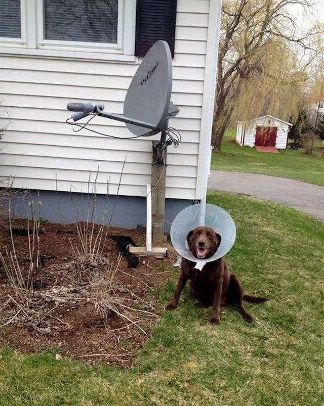 Picdump 265 - #11 