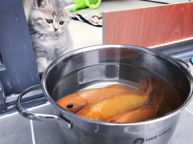 Picdump 265 - #15 