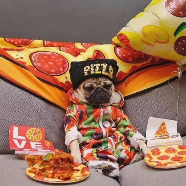 Picdump 265