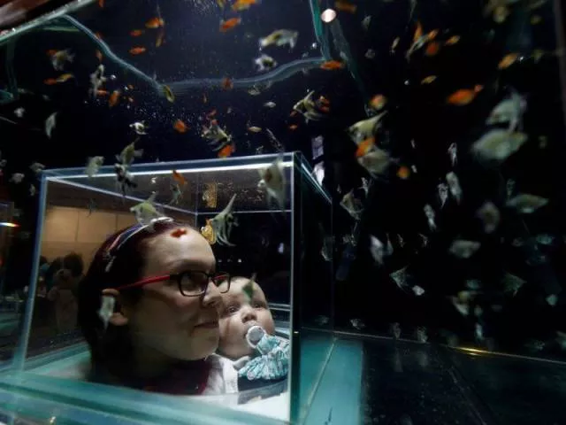 Picdump 265 - #42 Picdump 265 - #42