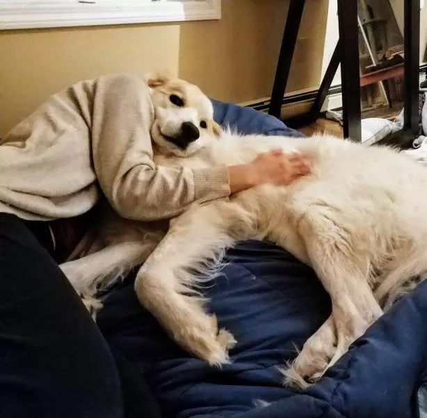 Picdump 265 - #43 Picdump 265 - #43