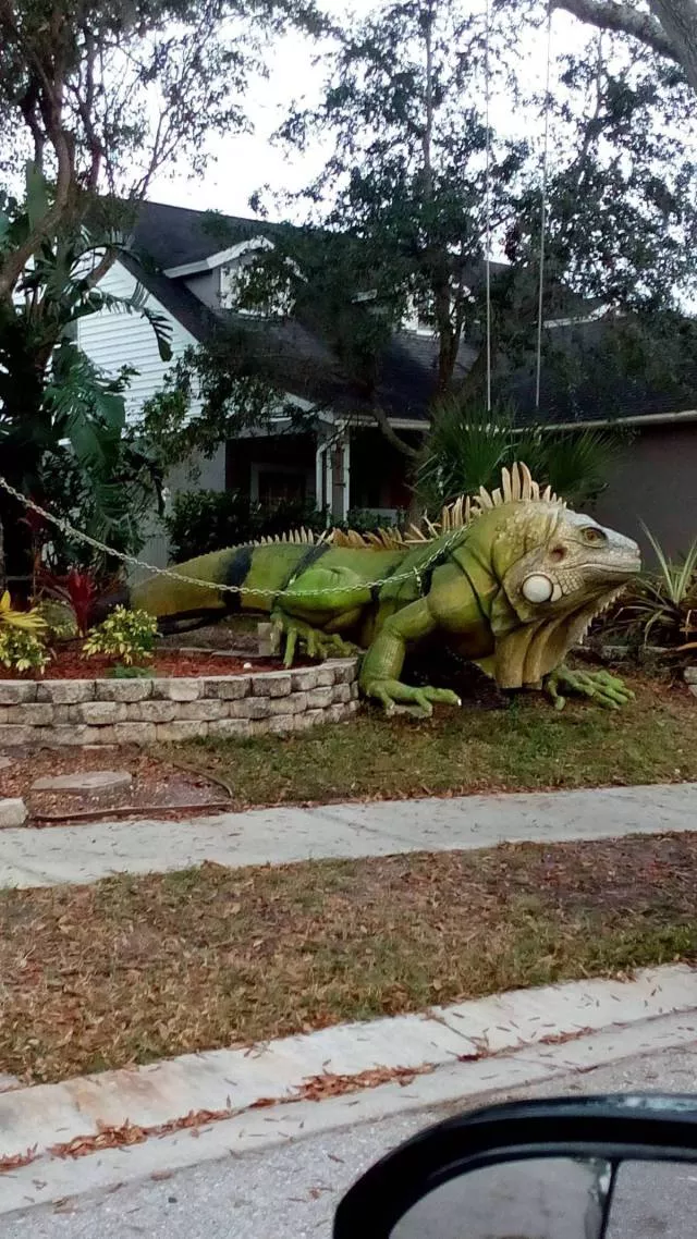 Picdump 265 - #47 Picdump 265 - #47