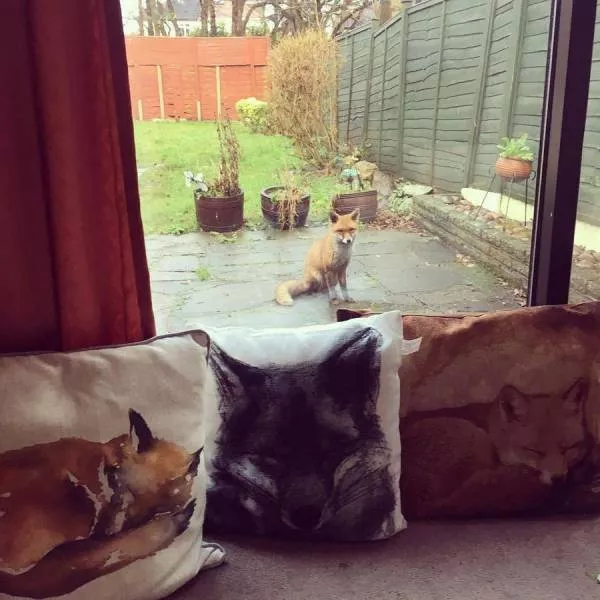 Picdump 266 - #21 
