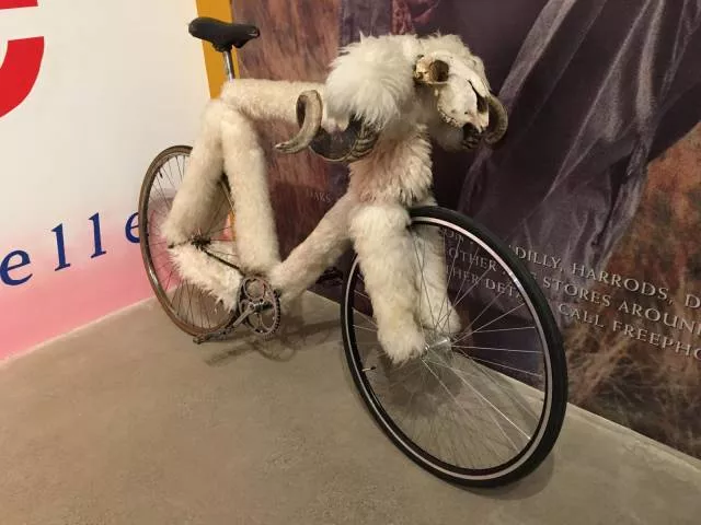 Picdump 266 - #50 