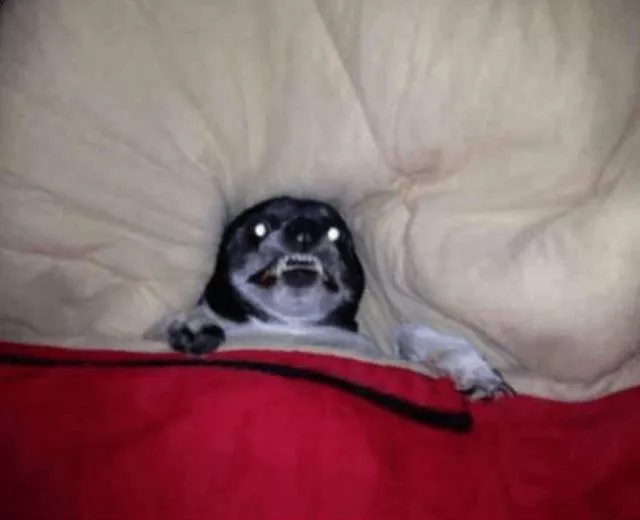 Picdump 266 - #70 