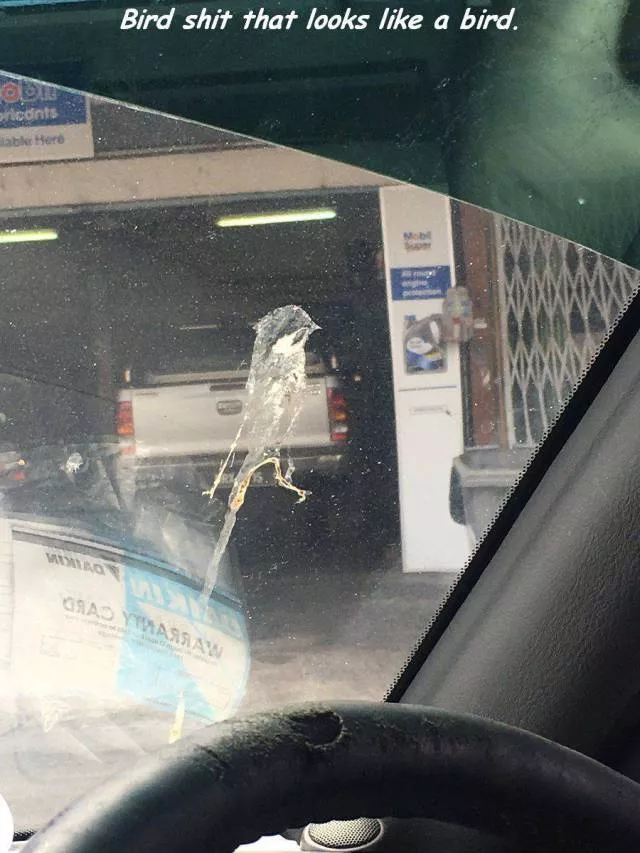 Picdump 266 - #76 