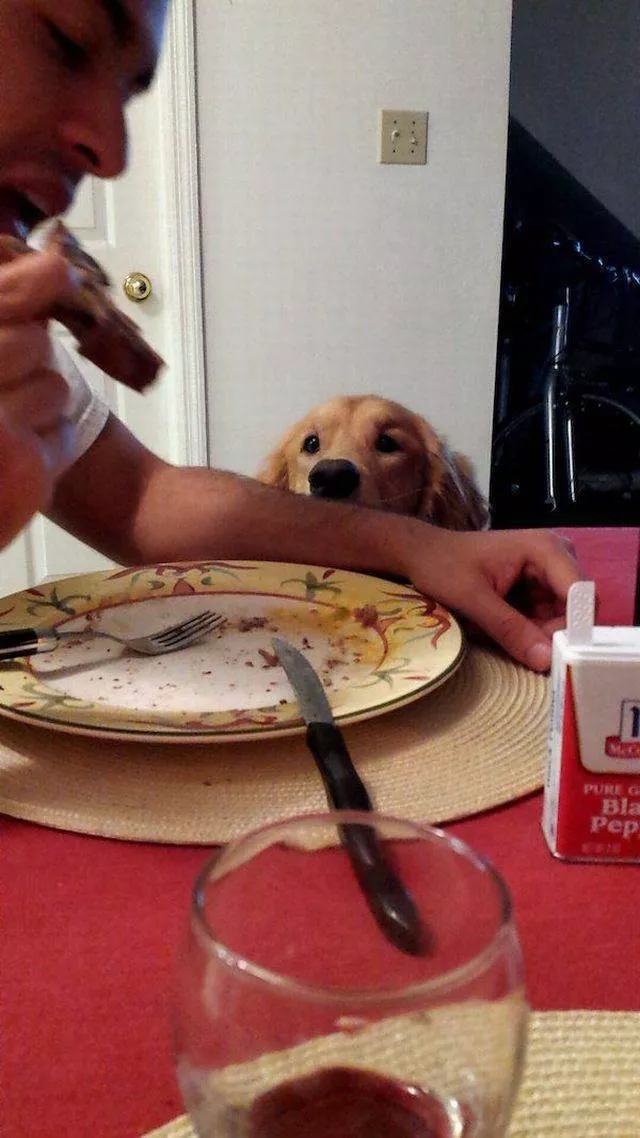Picdump 266 - #85 