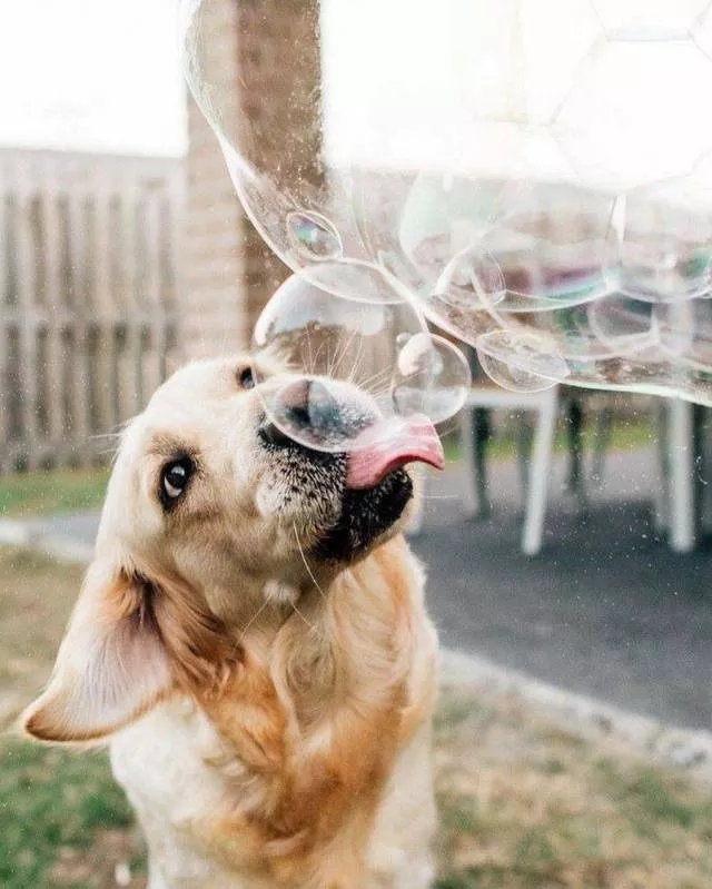 Picdump 266 - #91 