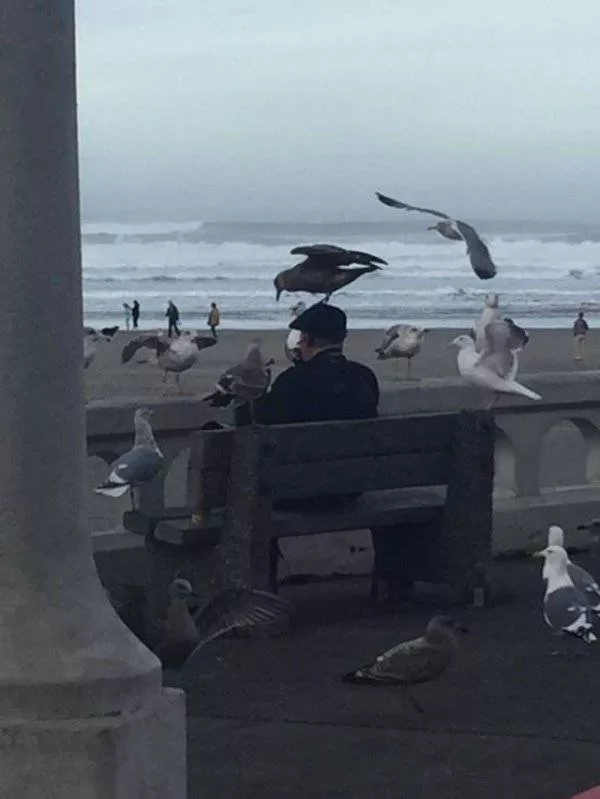 Les photos les plus impressionnantes - #26 