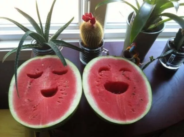 Les photos les plus impressionnantes - #3 