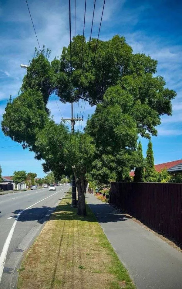 Les photos les plus impressionnantes - #38 
