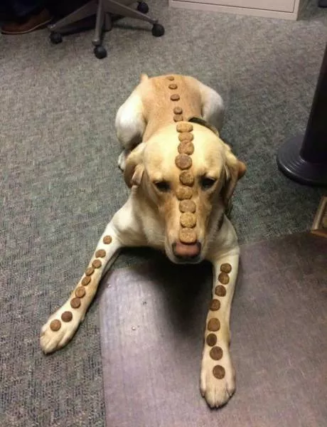 Picdump 267 - #13 