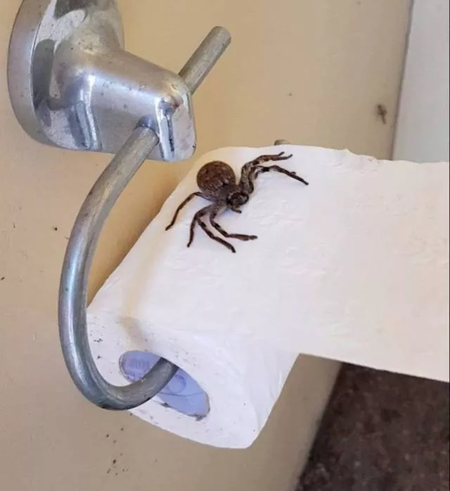 The most disgusting photos - #41 