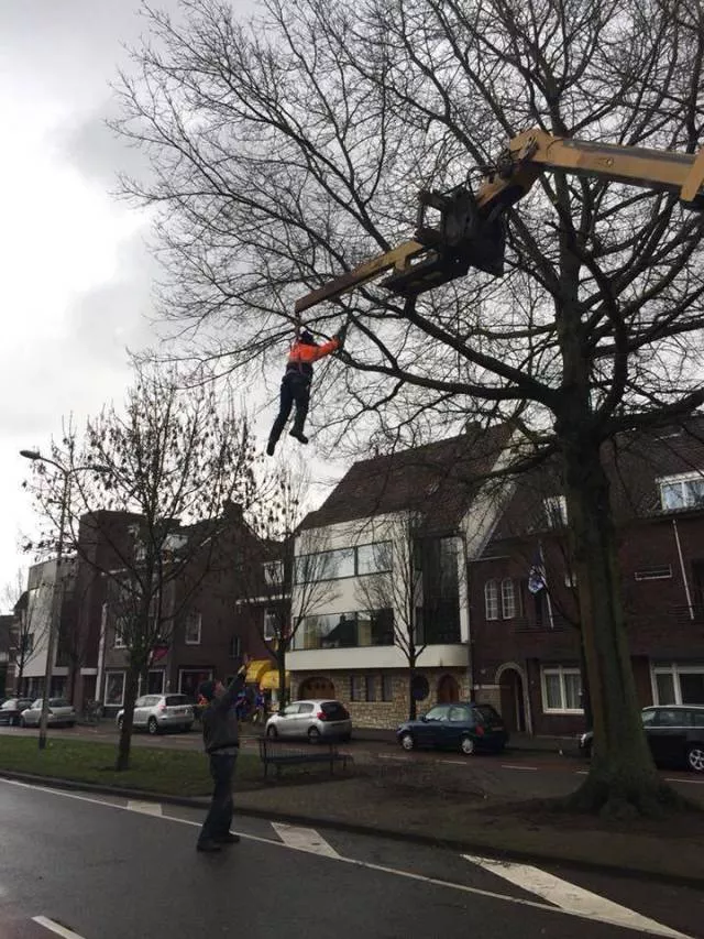 Picdump 268 - #40 