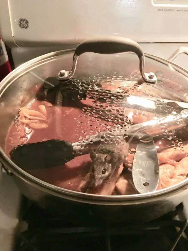 Picdump 268 - #52 