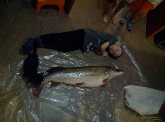 Picdump 268 - #78 