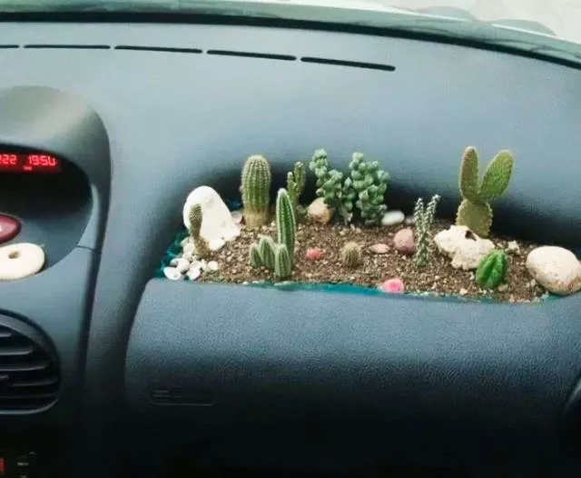 Objets effrayants trouves dans le monde entier - #1 