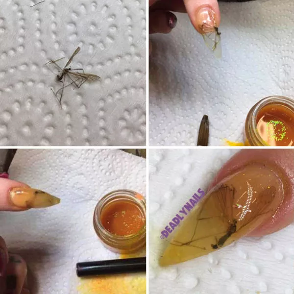 Objets effrayants trouves dans le monde entier