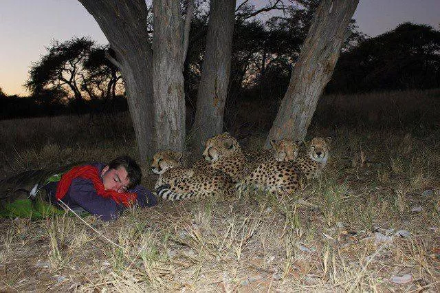 Picdump 269 - #17 