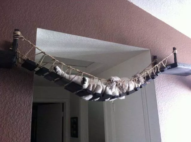 Picdump 269 - #23 