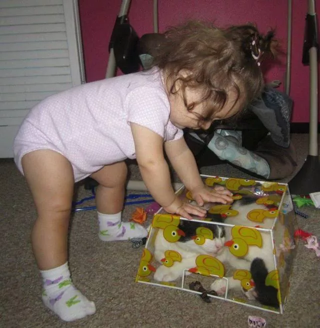 Picdump 269 - #42 