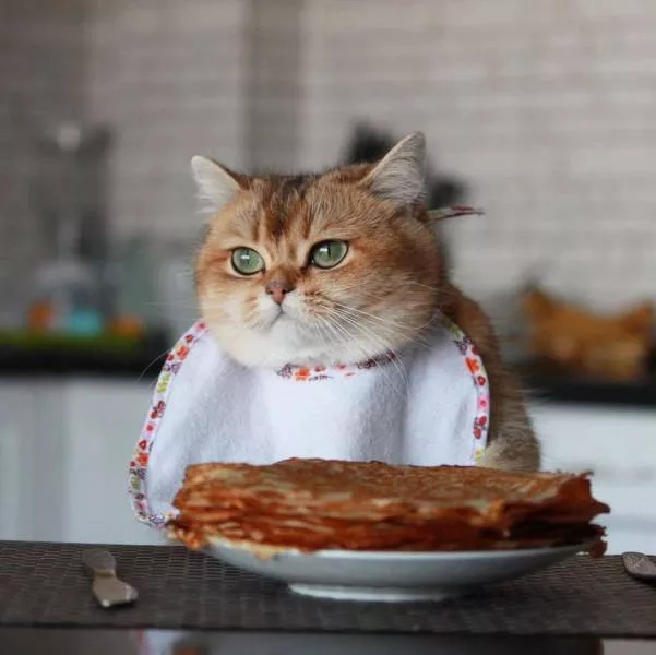Picdump 269 - #44 