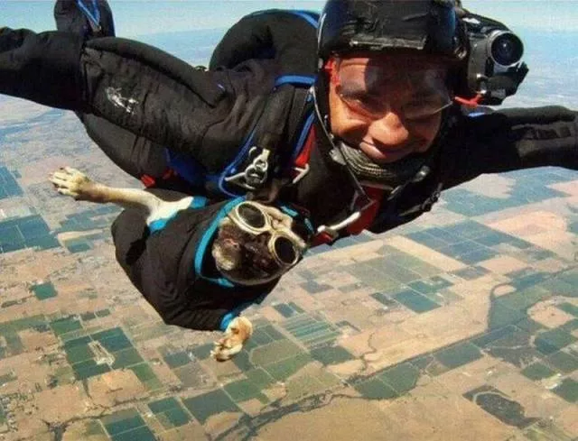 Picdump 269 - #62 