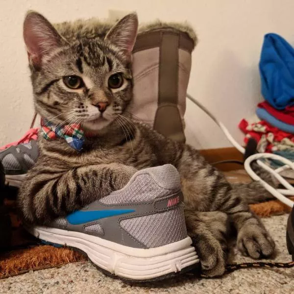 Picdump 269 - #70 