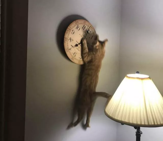 Picdump 269 - #9 