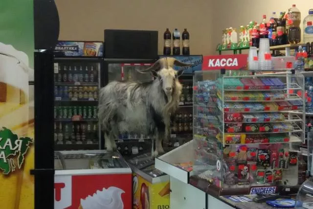 On na pas trouve de nom pour cet album on peut dire que wtf - #34 