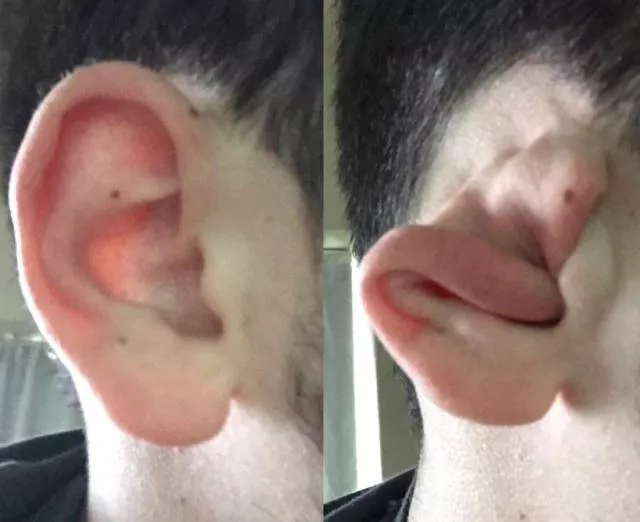 On na pas trouve de nom pour cet album on peut dire que wtf - #40 