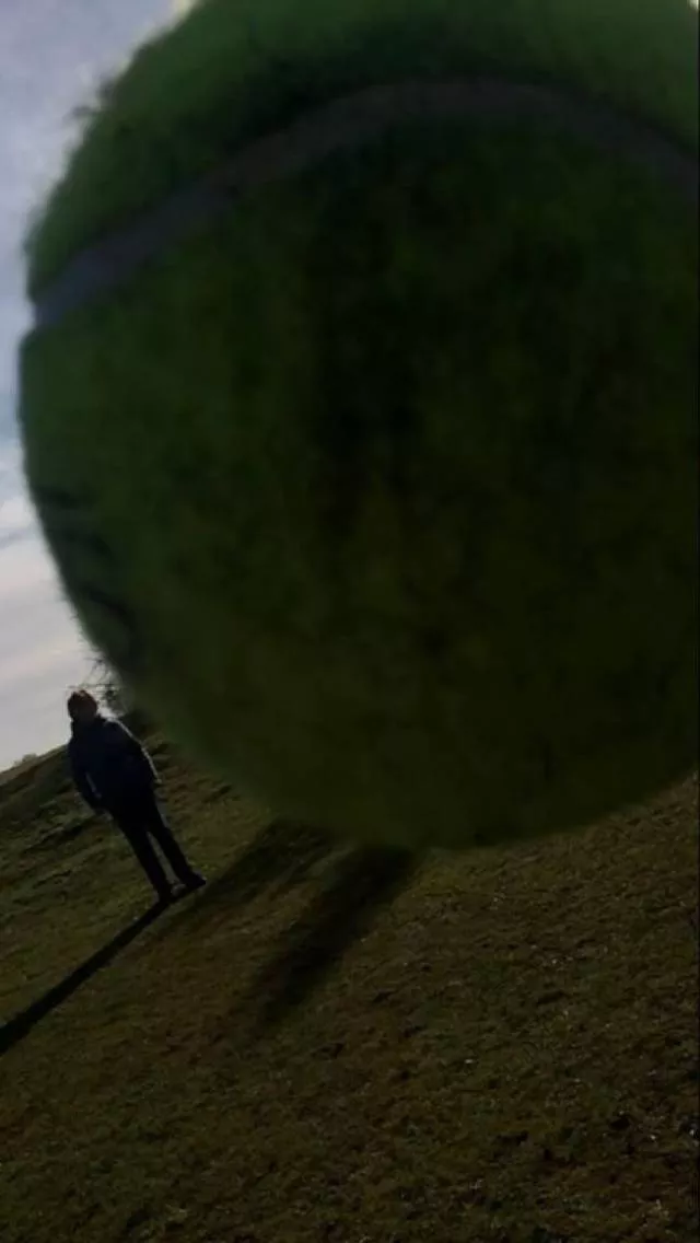 Pictures taken at the right time and place - #15 